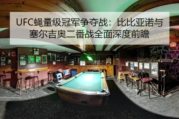 UFC蝇量级冠军争夺战：比比亚诺与塞尔吉奥二番战全面深度前瞻